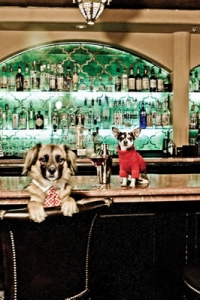 cypress inn yappy hour